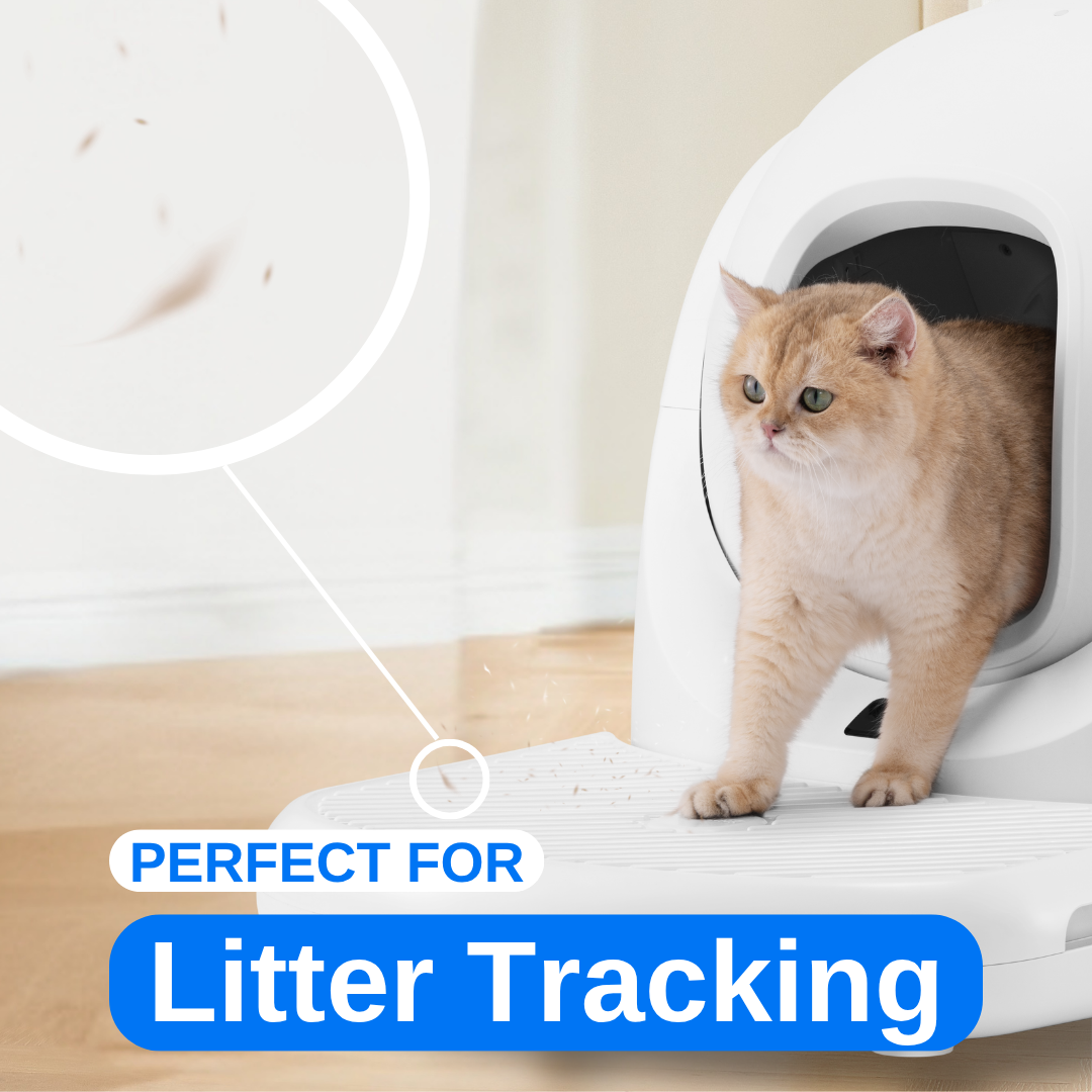 CATLINK Platform for Baymax