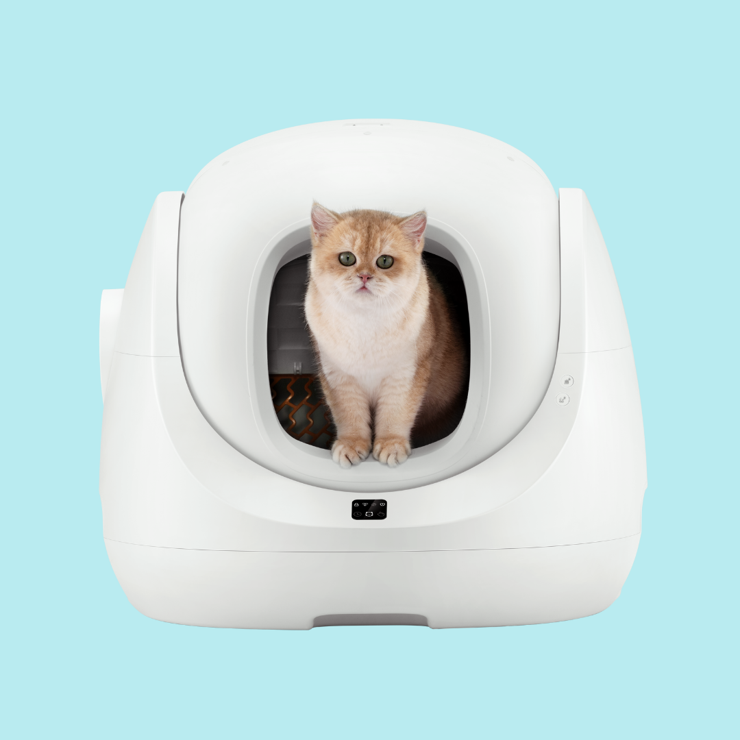 <BEST-SELLER> CATLINK Scooper SE Baymax - Self Cleaning Litter Box