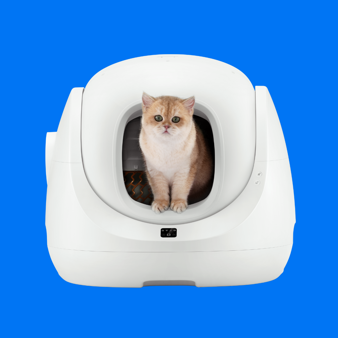 <BEST-SELLER> CATLINK Scooper SE Baymax - Self Cleaning Litter Box