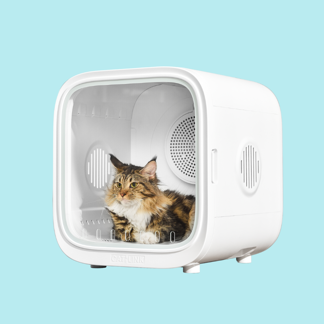 CATLINK Pet Dryer Box - Standard / Pro