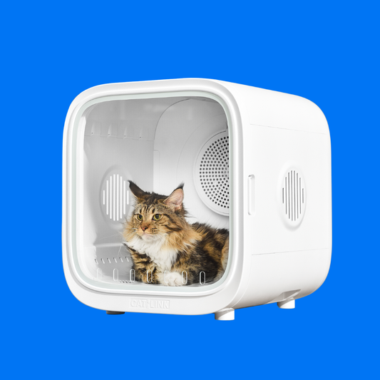 CATLINK Pet Dryer Box - Standard / Pro