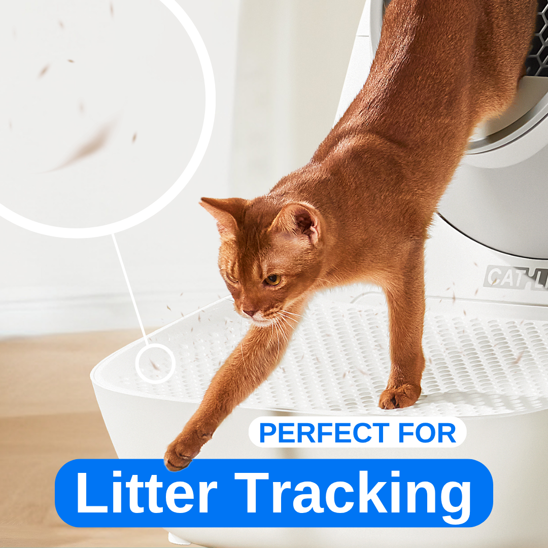 CATLINK Stairway for Pro-X Series