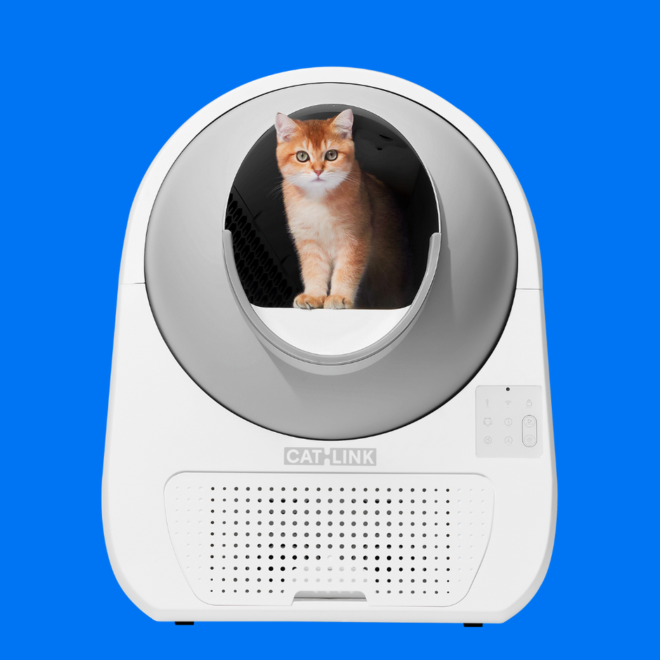 CATLINK PHILIPPINES