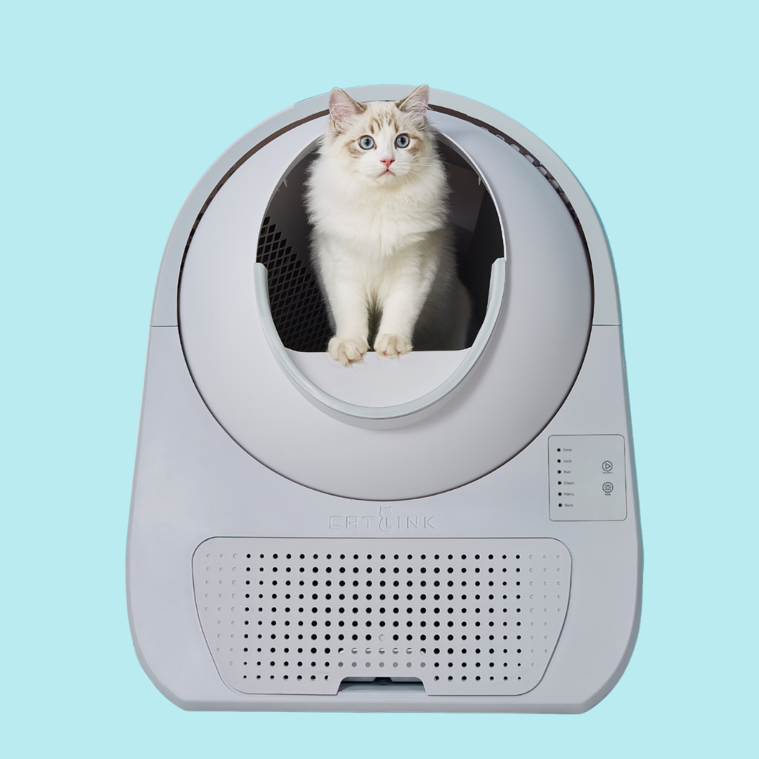 <BEST-SELLER> CATLINK Scooper Young - Self Cleaning Litter Box