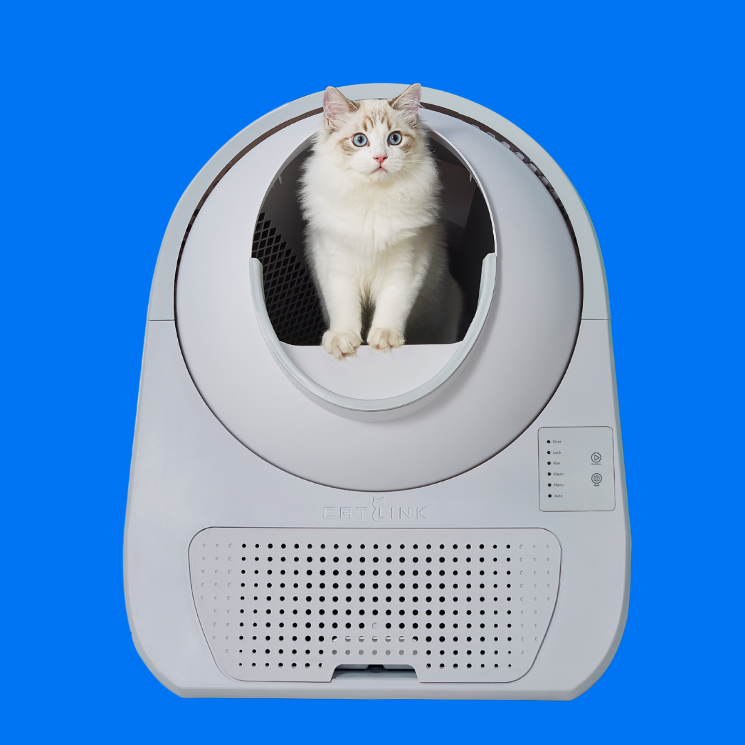 <BEST-SELLER> CATLINK Scooper Young - Self Cleaning Litter Box