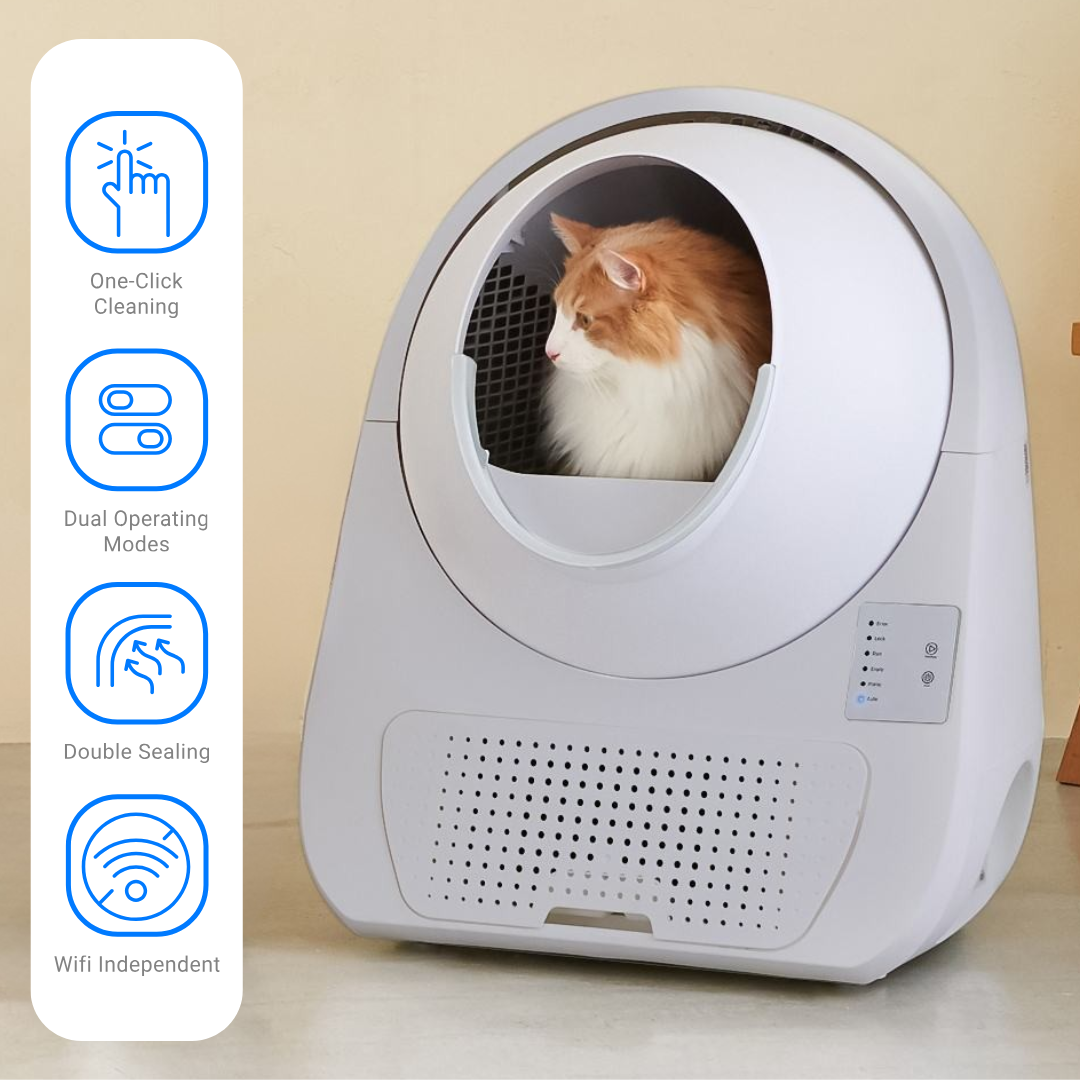 <BEST-SELLER> CATLINK Scooper Young - Self Cleaning Litter Box