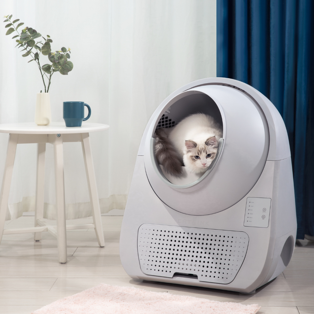 <BEST-SELLER> CATLINK Scooper Young - Self Cleaning Litter Box