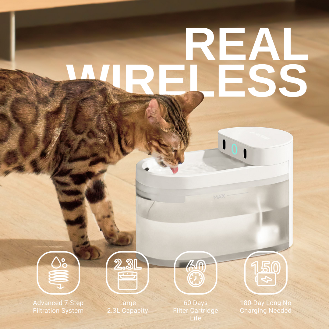 CATLINK Pure 3 Water Fountain - Wired/Wireless